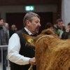 Fleischrindertag 2019 "Die Schau"